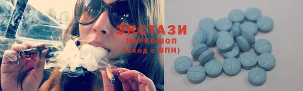 гидра Мурманск