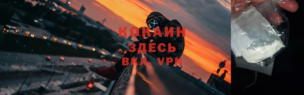 индика Пересвет