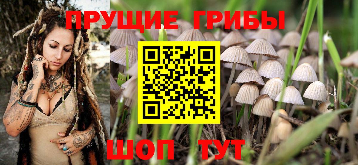 Галлюциногенные грибы мицелий Аргун