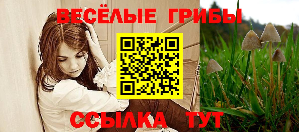Псилоцибиновые грибы прущие грибы  Вход с VPN  Аргун 