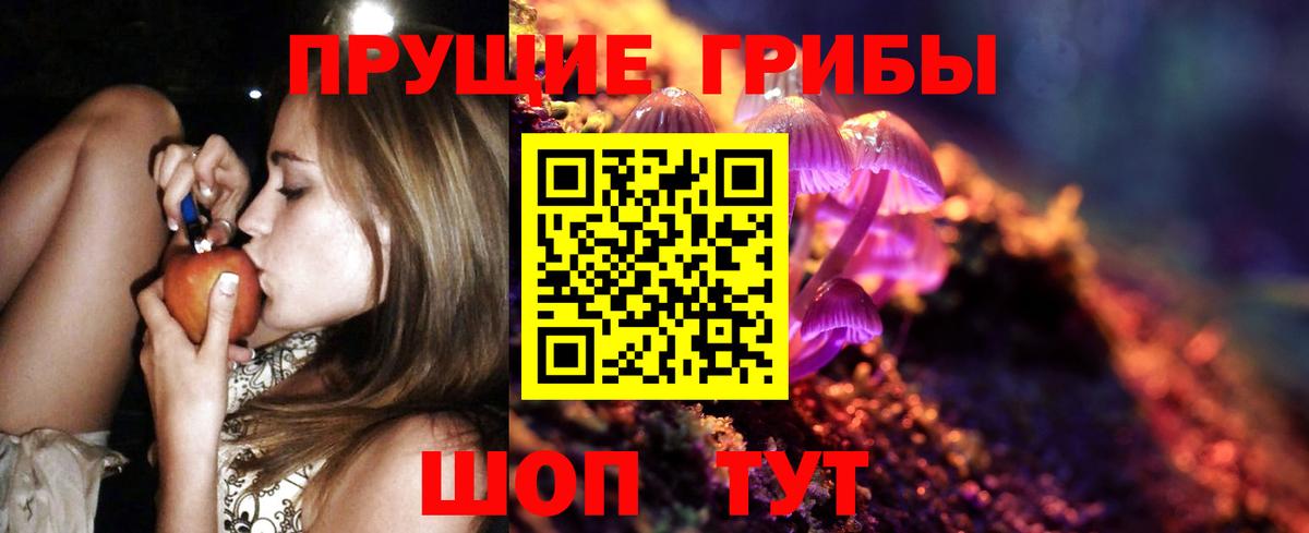 Псилоцибиновые грибы Cubensis  Аргун 