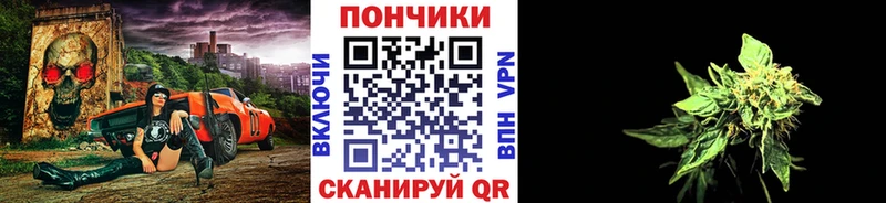 shop официальный сайт  Аргун  Канабис OG Kush  кракен ссылки 
